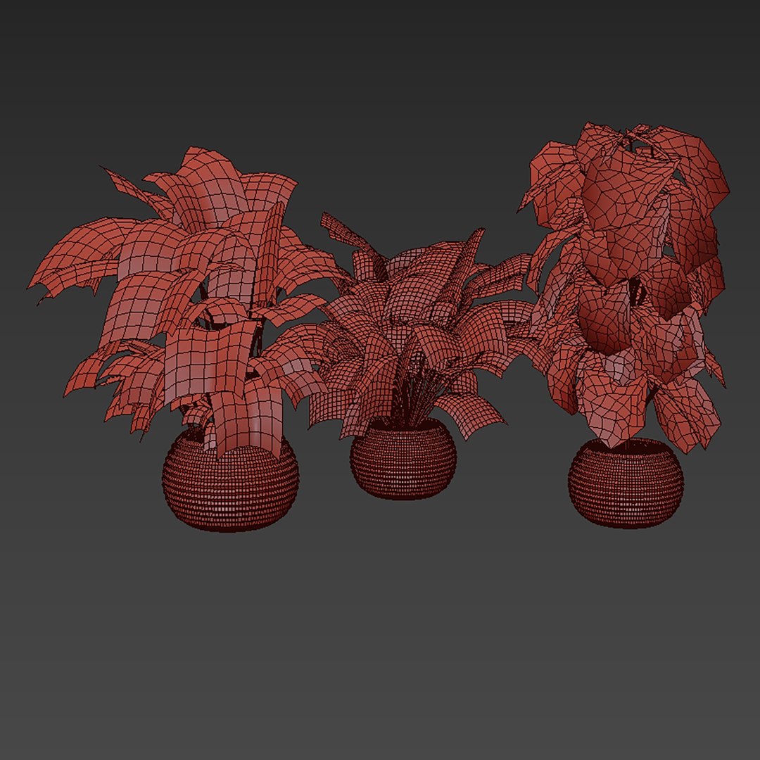 plant vol 927 - monstera - pot - leaf 3D model https://p.turbosquid.com/ts-thumb/76/tA1XRC/WA/6/jpg/1782911926/1920x1080/fit_q87/8771e3466ffb9782b6e0ece73a486030a6de51df/6.jpg