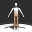 3d - rigged model