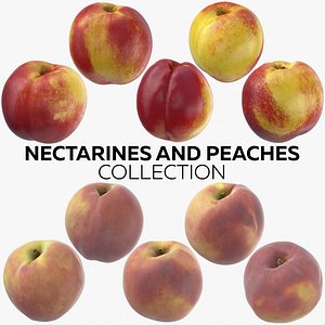 nectarines peaches 3D model