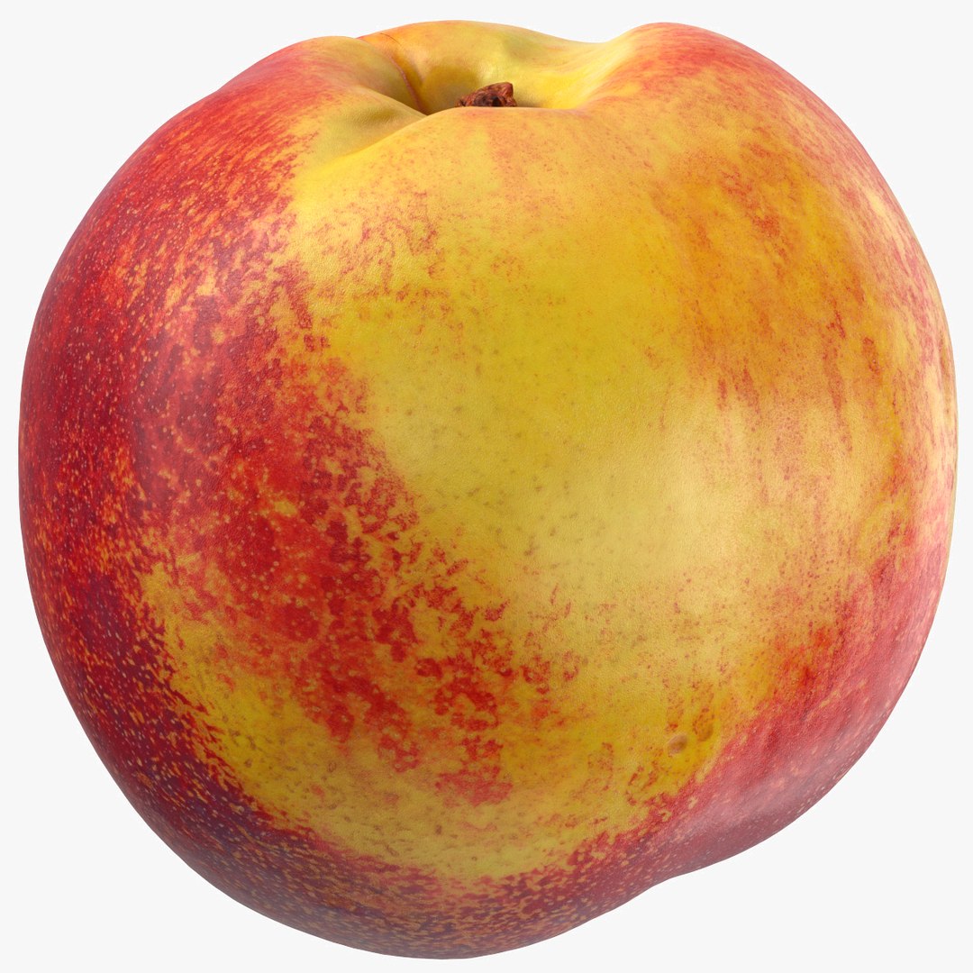 nectarines peaches 3D model https://p.turbosquid.com/ts-thumb/77/0h7jk8/prCuGvhK/nectarine_02_square_0000/jpg/1572603950/1920x1080/fit_q87/5aa0080701a3af486c82caec7d312507cc407fab/nectarine_02_square_0000.jpg