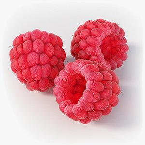 Realistic Raspberry