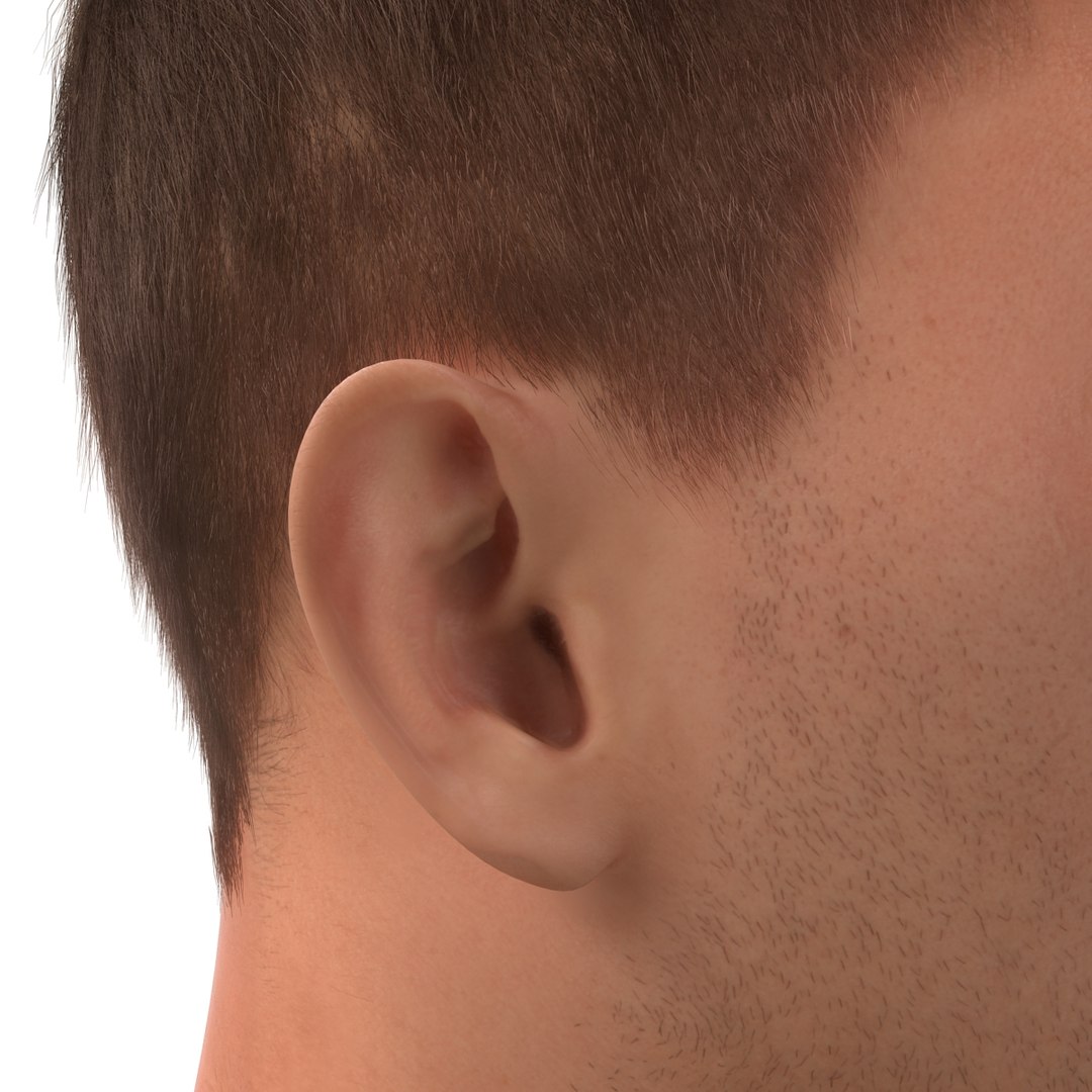 3d model male head hair rigged https://p.turbosquid.com/ts-thumb/77/CzCE5j/1CwiJwir/maleheadwithhairrigged3dmodel25/jpg/1454417910/1920x1080/fit_q87/ad31ce605e7dc1284d8586355ebd45a171b32657/maleheadwithhairrigged3dmodel25.jpg