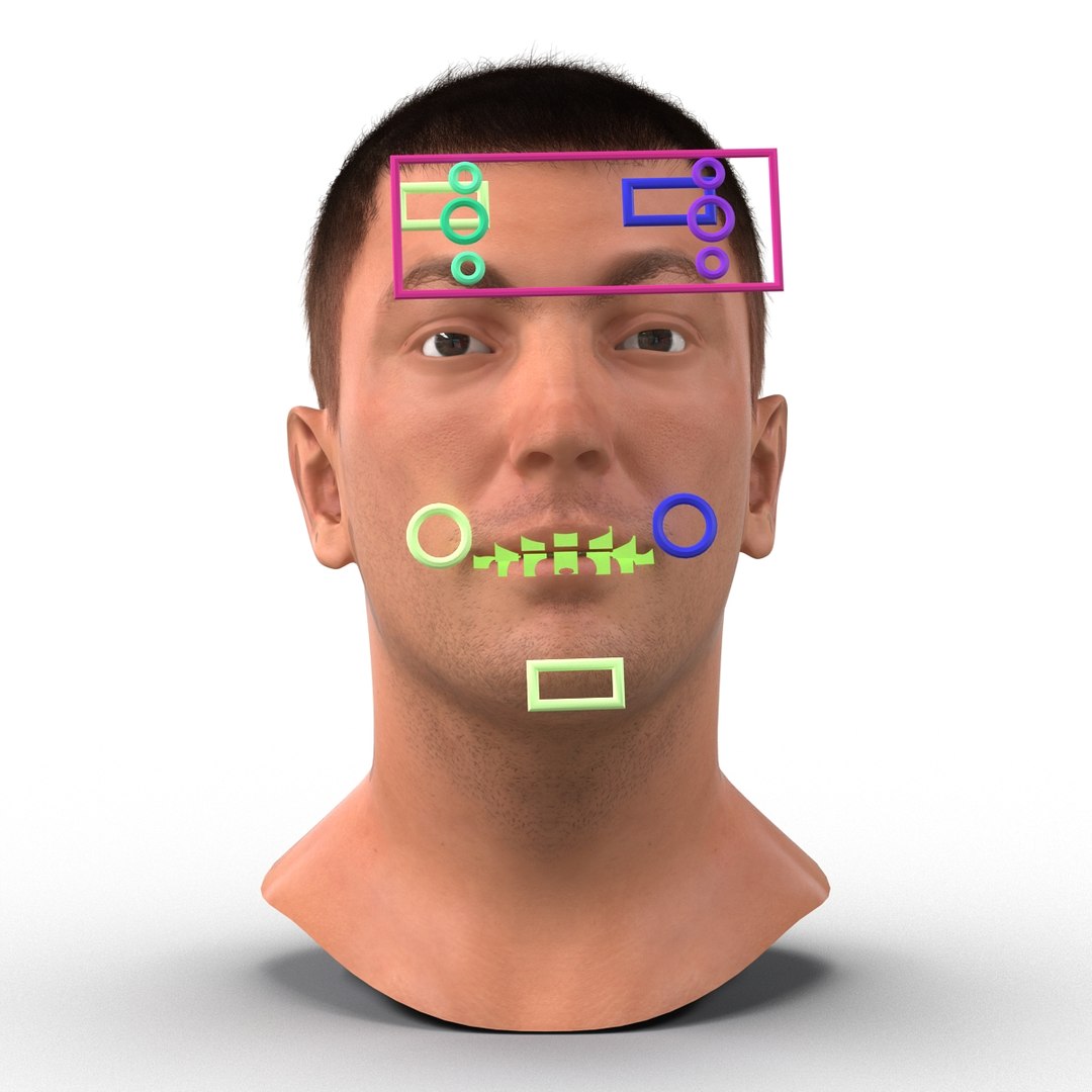 3d model male head hair rigged https://p.turbosquid.com/ts-thumb/77/CzCE5j/6qVwwZj4/maleheadwithhairrigged3dmodel09/jpg/1454417908/1920x1080/fit_q87/8421be9f8837a88d33f0613fb0700eafdd683a1e/maleheadwithhairrigged3dmodel09.jpg