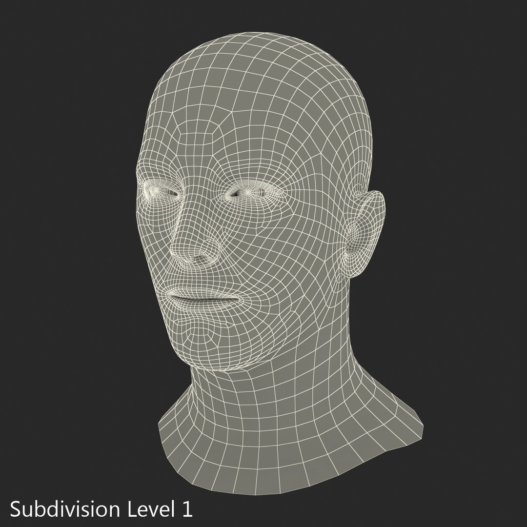 3d model male head hair rigged https://p.turbosquid.com/ts-thumb/77/CzCE5j/6rVOuYWl/maleheadwithhairrigged3dmodel28/jpg/1454417911/1920x1080/fit_q87/c15e08bcf9b512110e543e2c144df0305c8f9792/maleheadwithhairrigged3dmodel28.jpg