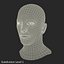Male Head with Hair Rigged Modèle 3D