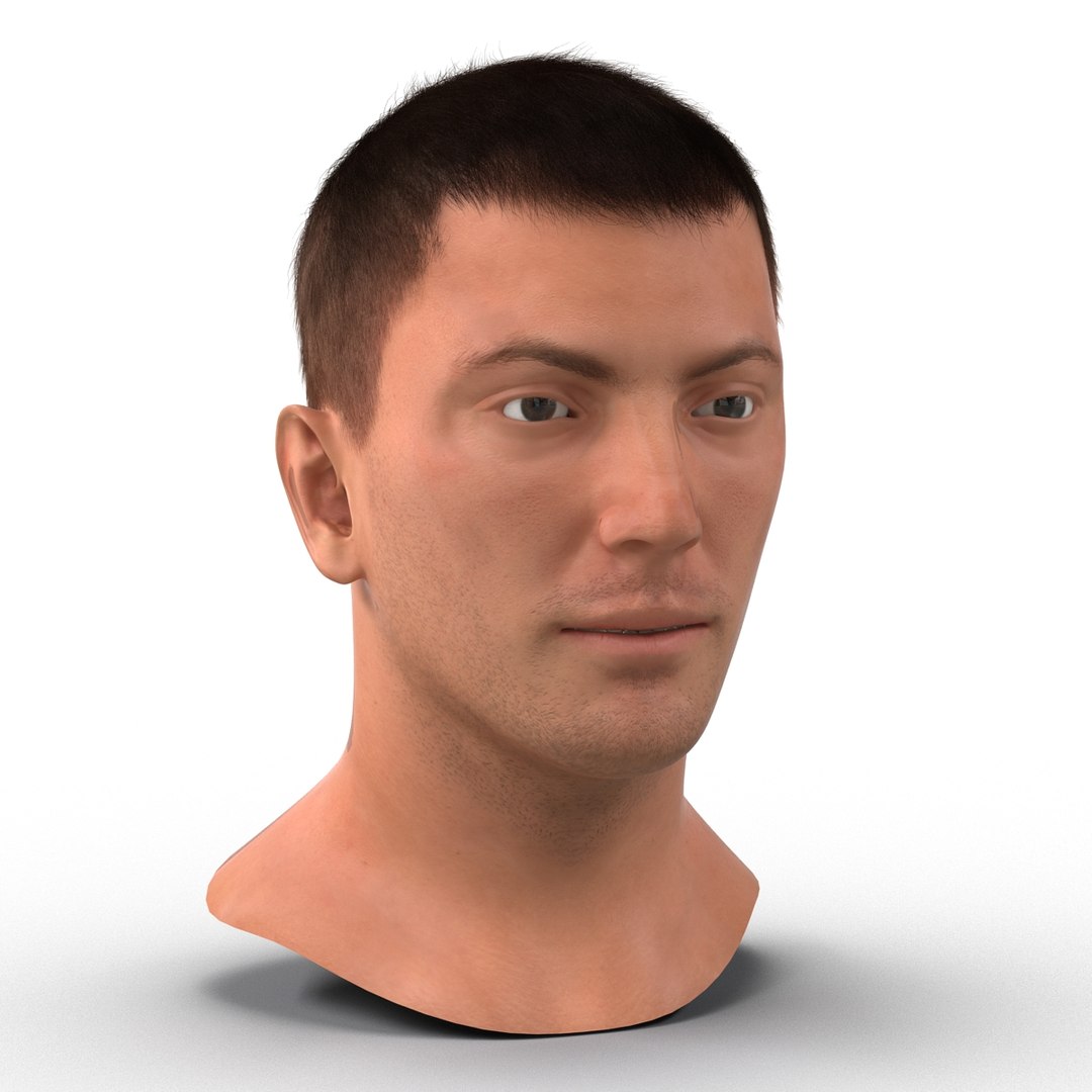 3d model male head hair rigged https://p.turbosquid.com/ts-thumb/77/CzCE5j/BTzjEt2C/maleheadwithhairrigged3dmodel02/jpg/1454417907/1920x1080/fit_q87/68a194e7b2371522bee3879a21dc76cfca7f1f56/maleheadwithhairrigged3dmodel02.jpg