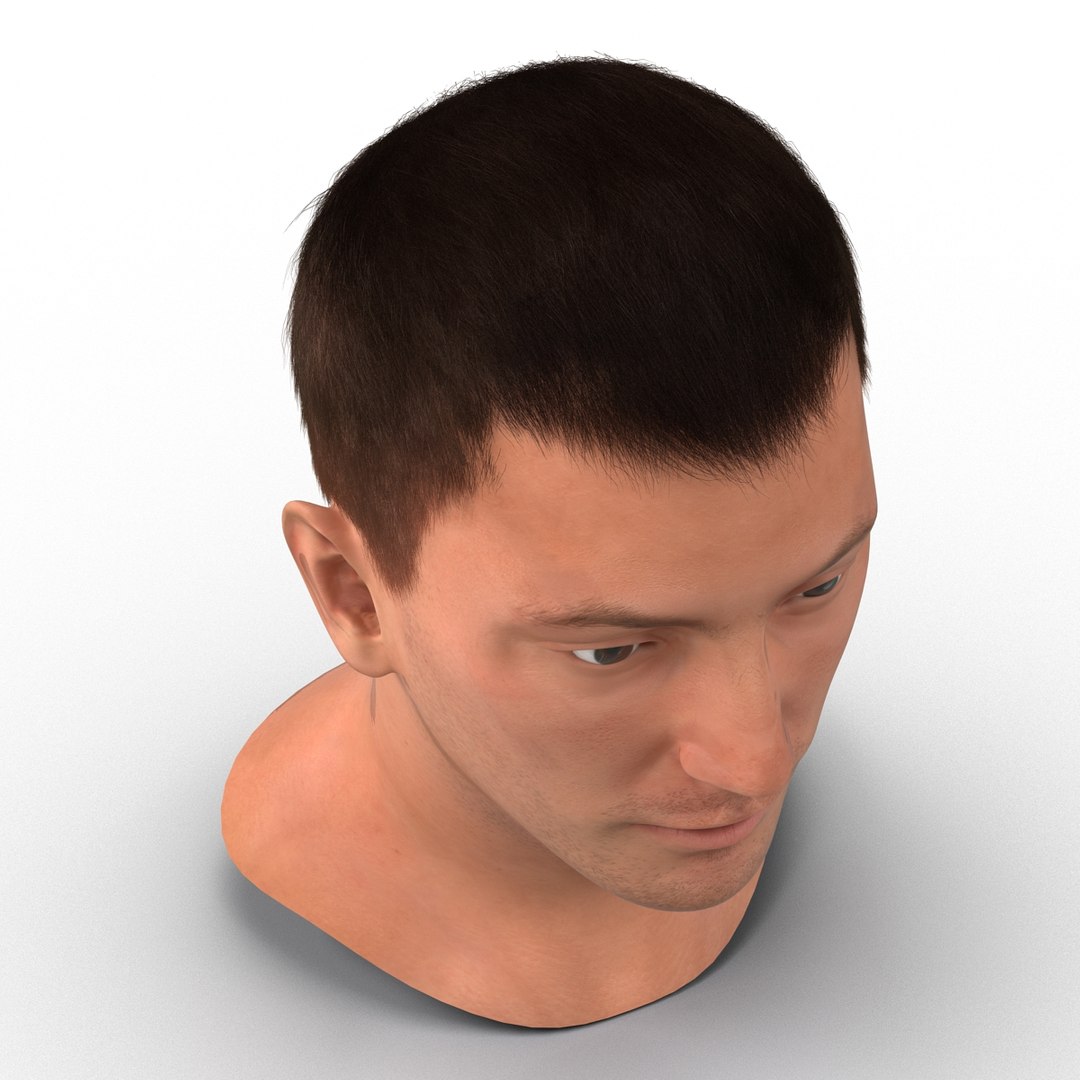 3d model male head hair rigged https://p.turbosquid.com/ts-thumb/77/CzCE5j/CxUvHeN9/maleheadwithhairrigged3dmodel15/jpg/1454417909/1920x1080/fit_q87/ecd1284505d5c937bcdf363d24351e63bb16b75d/maleheadwithhairrigged3dmodel15.jpg