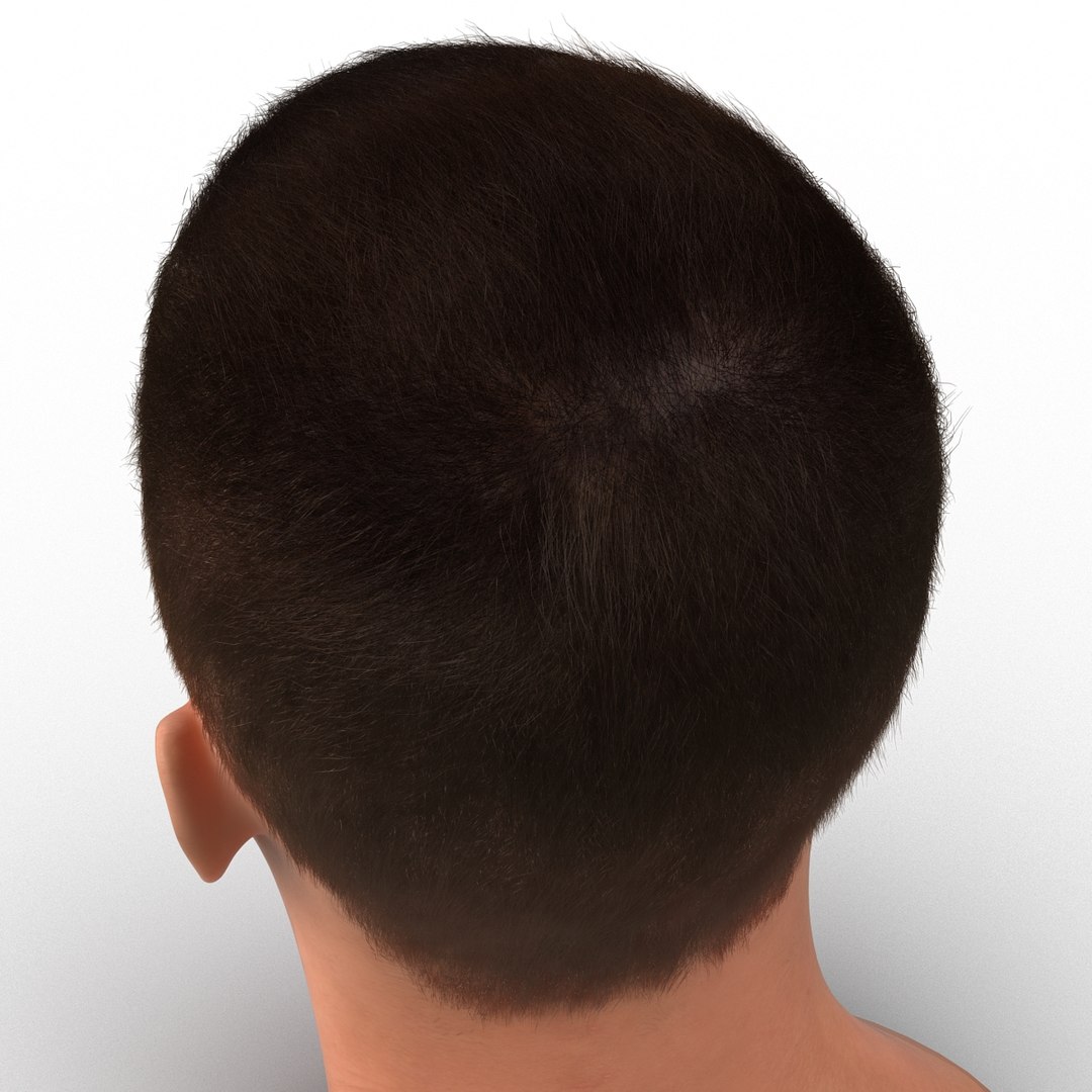3d model male head hair rigged https://p.turbosquid.com/ts-thumb/77/CzCE5j/GAvmSImD/maleheadwithhairrigged3dmodel21/jpg/1454417910/1920x1080/fit_q87/75c4601236850cf8f6b436af13fbb974fe97584c/maleheadwithhairrigged3dmodel21.jpg