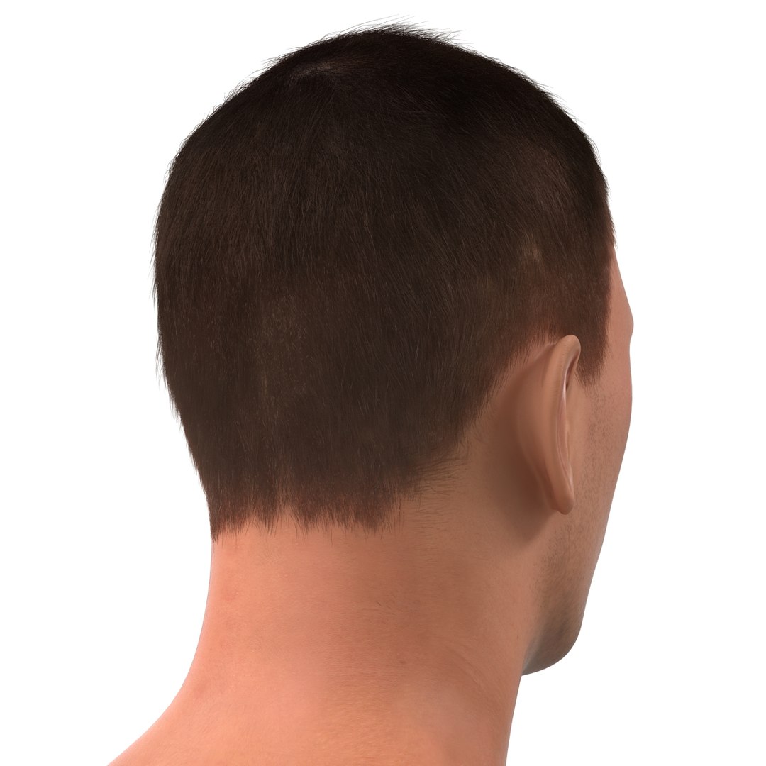 3d model male head hair rigged https://p.turbosquid.com/ts-thumb/77/CzCE5j/IGlGKeg6/maleheadwithhairrigged3dmodel20/jpg/1454417909/1920x1080/fit_q87/53738715adab5bbb42936659a817f80b30307d3c/maleheadwithhairrigged3dmodel20.jpg