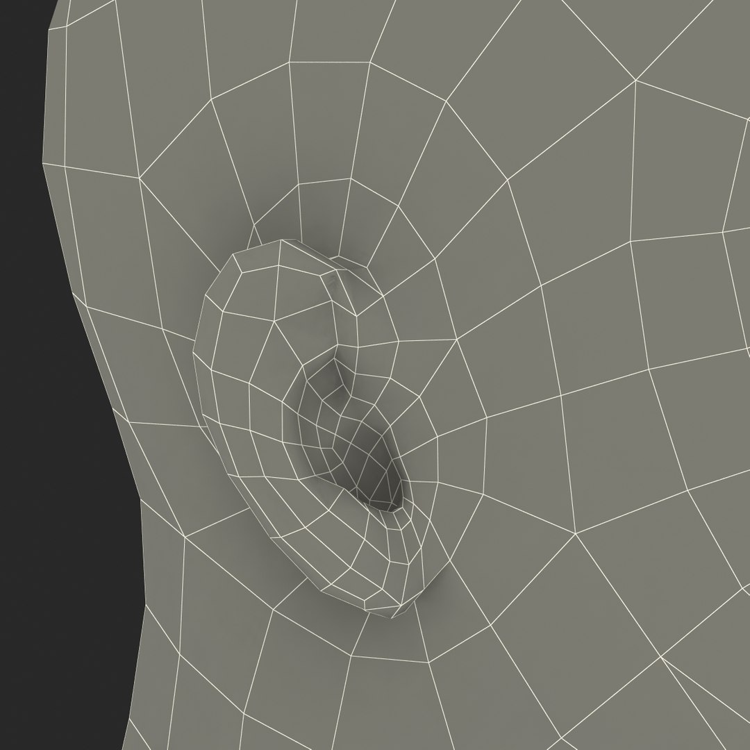 3d model male head hair rigged https://p.turbosquid.com/ts-thumb/77/CzCE5j/IUlnGgzx/maleheadwithhairrigged3dmodel37/jpg/1454417912/1920x1080/fit_q87/c2cdf76477888dcb574fbd635cbd94e376592780/maleheadwithhairrigged3dmodel37.jpg