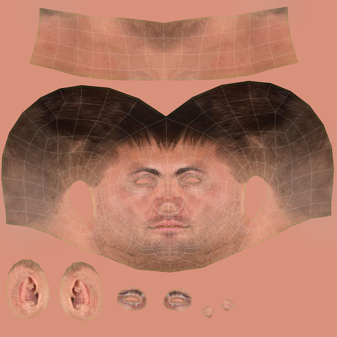 3d model male head hair rigged https://p.turbosquid.com/ts-thumb/77/CzCE5j/JeAZFLEE/maleheadwithhairrigged3dmodel29/jpg/1454417911/1920x1080/fit_q87/233cf2b661855d9b3fe2ceeb60ee207a4fcf7039/maleheadwithhairrigged3dmodel29.jpg