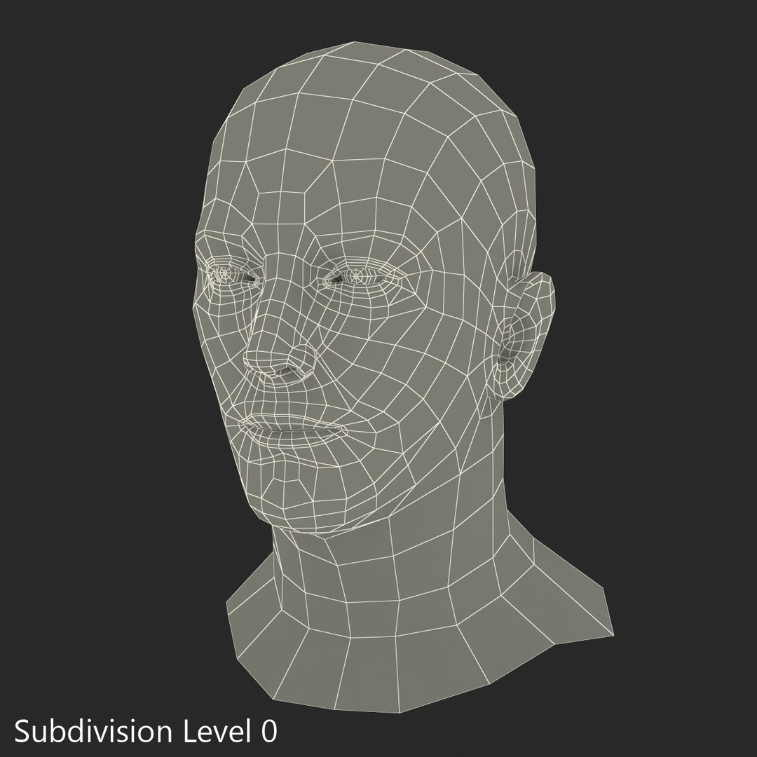 3d model male head hair rigged https://p.turbosquid.com/ts-thumb/77/CzCE5j/NuXWfWPB/maleheadwithhairrigged3dmodel27/jpg/1454417910/1920x1080/fit_q87/30b055fdb4712274dc7bed3725c814aa234bd72c/maleheadwithhairrigged3dmodel27.jpg