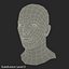 Male Head with Hair Rigged Modèle 3D