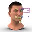 Male Head with Hair Rigged Modèle 3D