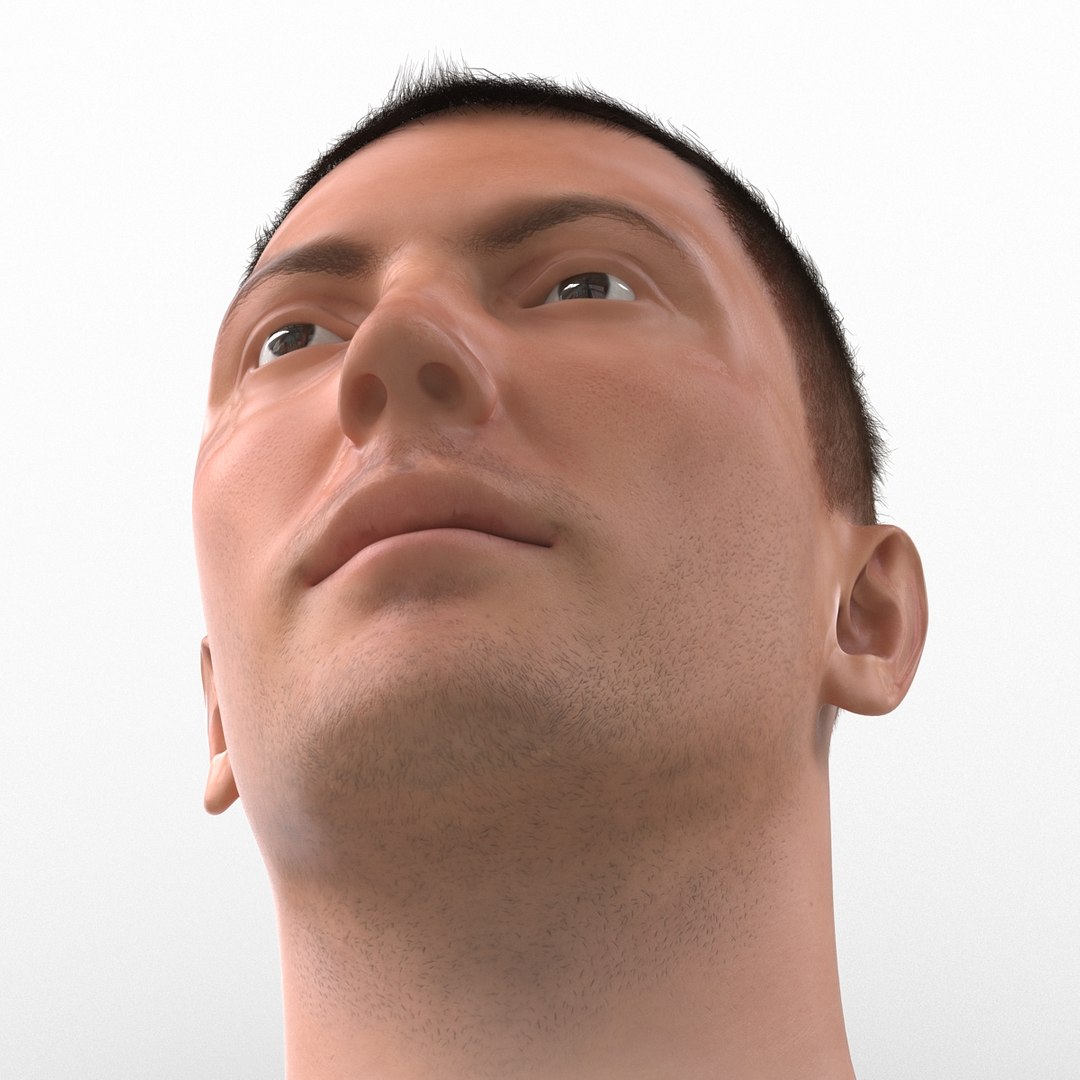 3d model male head hair rigged https://p.turbosquid.com/ts-thumb/77/CzCE5j/QeXIW3D7/maleheadwithhairrigged3dmodel22/jpg/1454417910/1920x1080/fit_q87/170be66f18672bd8838286a111b6fa8d094b014e/maleheadwithhairrigged3dmodel22.jpg