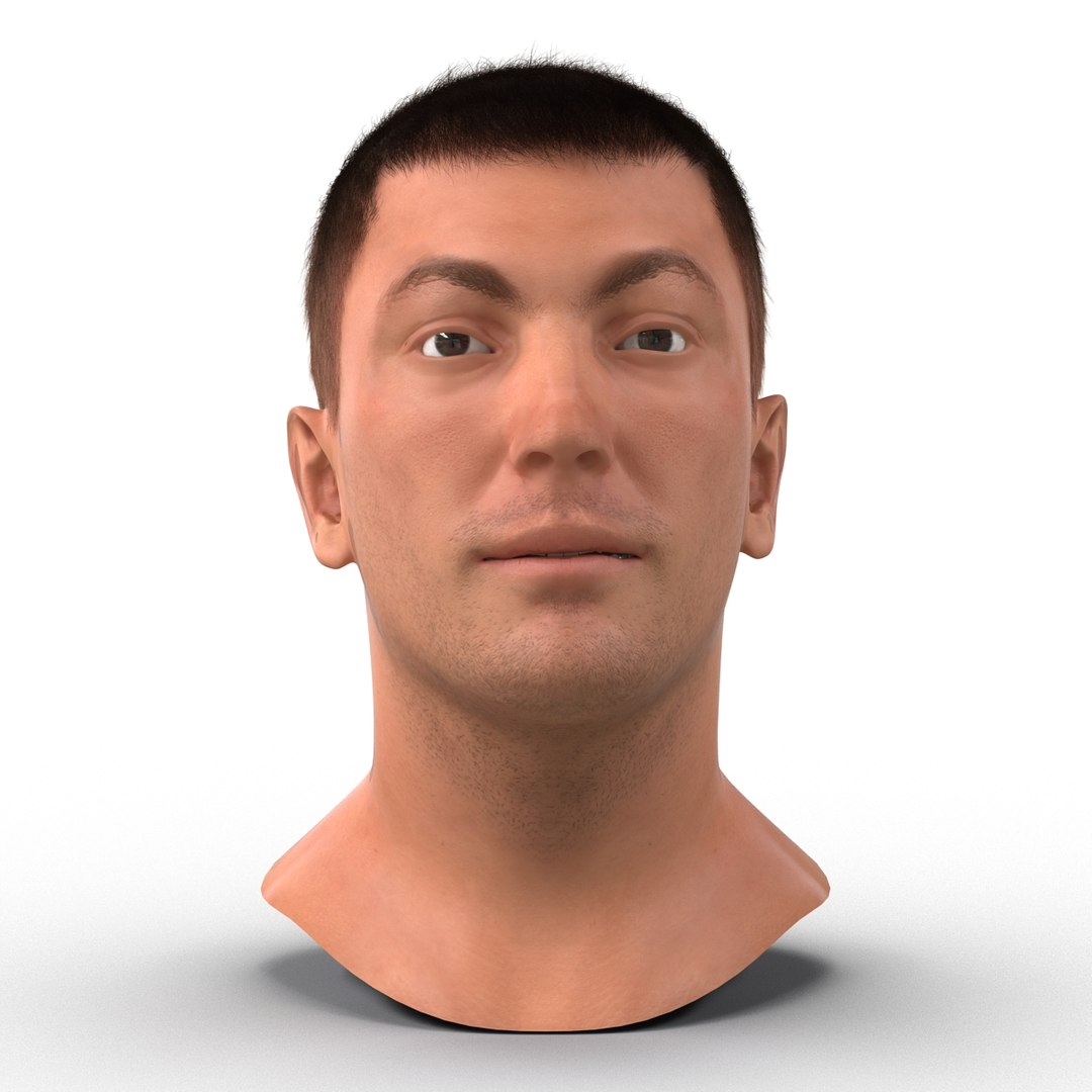 3d model male head hair rigged https://p.turbosquid.com/ts-thumb/77/CzCE5j/V9v4ytNw/maleheadwithhairrigged3dmodel03/jpg/1454417907/1920x1080/fit_q87/d32453c3c45d52877d2771af503c3dea69ddec56/maleheadwithhairrigged3dmodel03.jpg