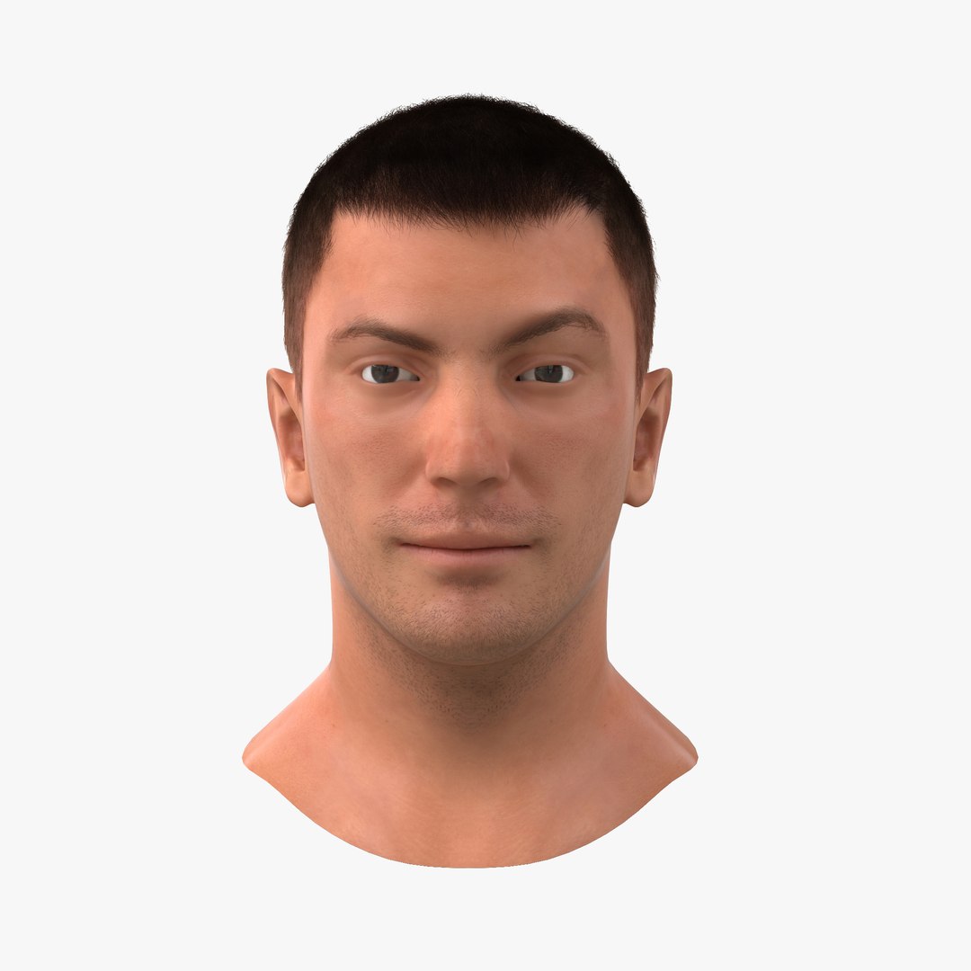 Male Head with Hair Rigged 3D Model 3D model preview