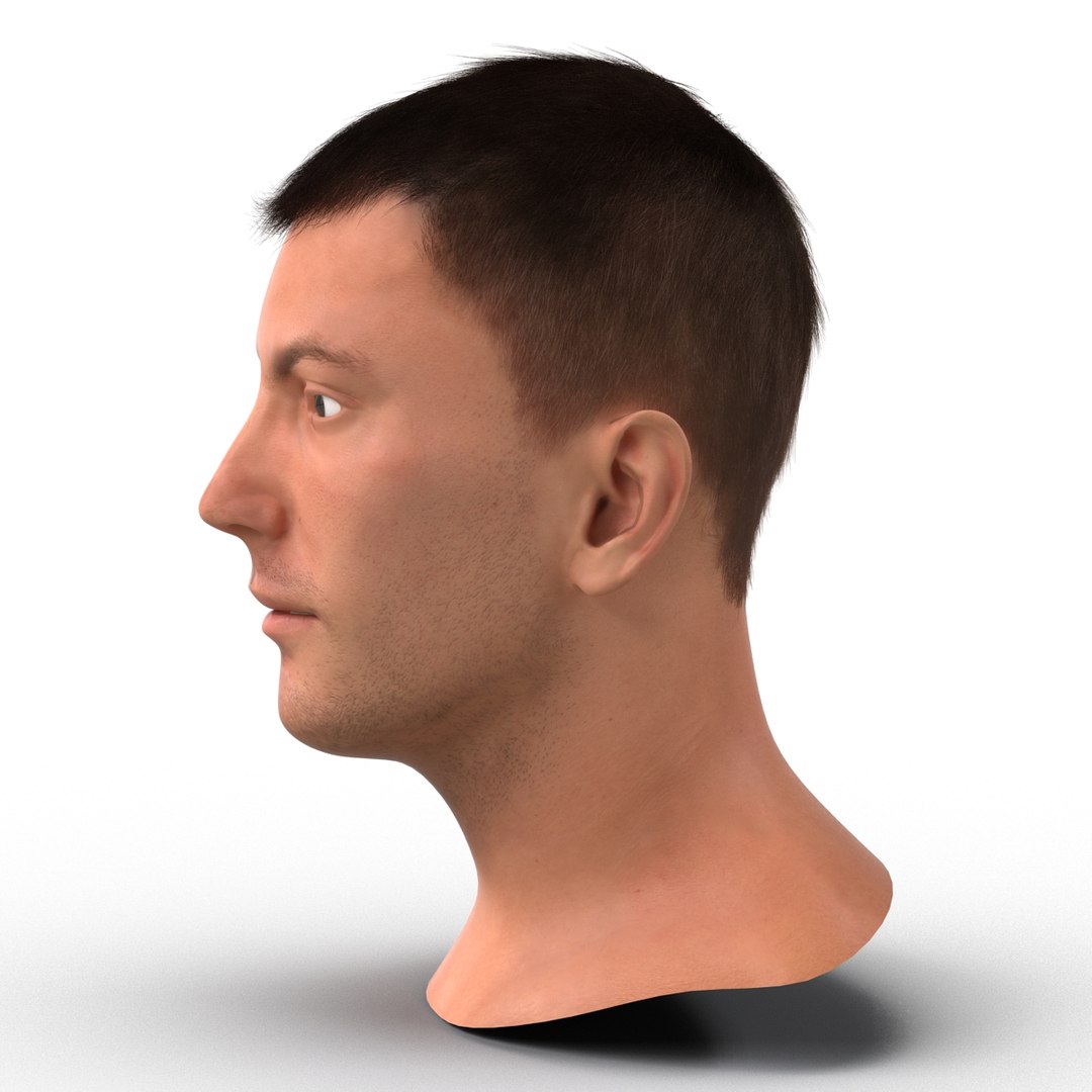 3d model male head hair rigged https://p.turbosquid.com/ts-thumb/77/CzCE5j/f1Kp9rZi/maleheadwithhairrigged3dmodel13/jpg/1454417909/1920x1080/fit_q87/f7363b6f900e5ef66d645f38464c8b42ed20be68/maleheadwithhairrigged3dmodel13.jpg