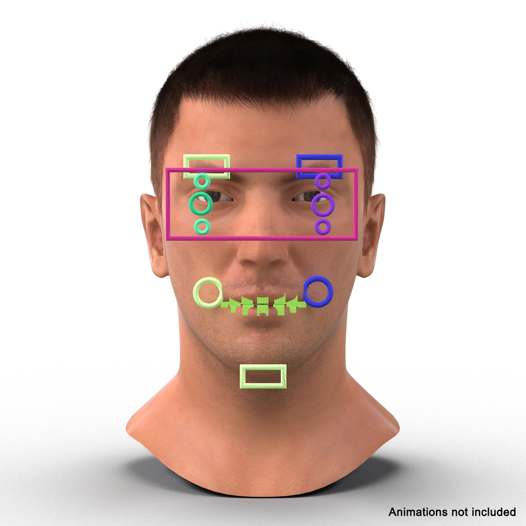 3d model male head hair rigged https://p.turbosquid.com/ts-thumb/77/CzCE5j/gwfAG8Pw/male_head_with_hair_rigged_363/jpg/1454418311/1920x1080/turn_fit_q99/a6480d9d001f1a05bc0009f1976e7b8ab1e5d84a/male_head_with_hair_rigged_363-1.jpg