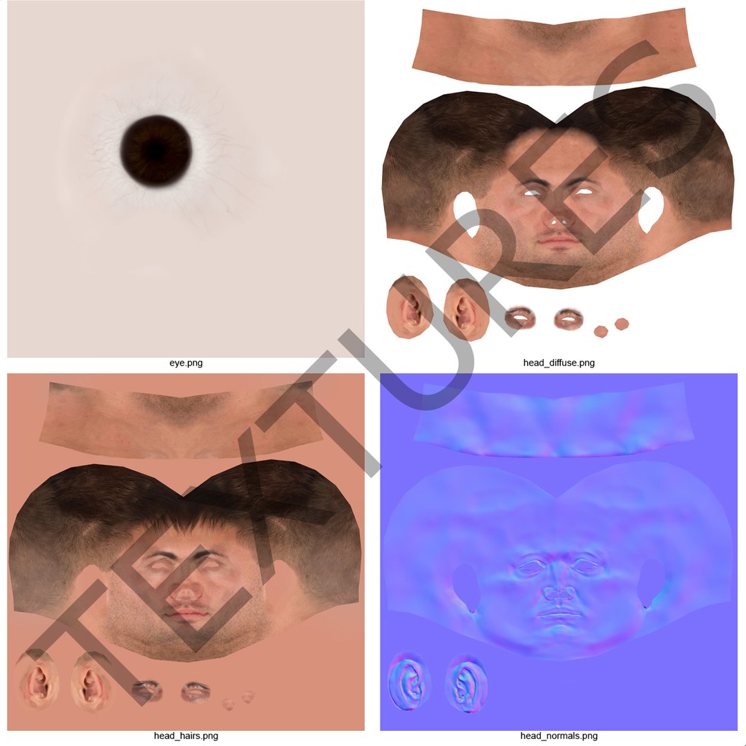 3d model male head hair rigged https://p.turbosquid.com/ts-thumb/77/CzCE5j/iiMnlXW5/maleheadwithhairrigged3dmodel30/jpg/1454417911/1920x1080/fit_q87/ee44ac4ddf96445f8fe8b0cbc684f5958e29a2dc/maleheadwithhairrigged3dmodel30.jpg