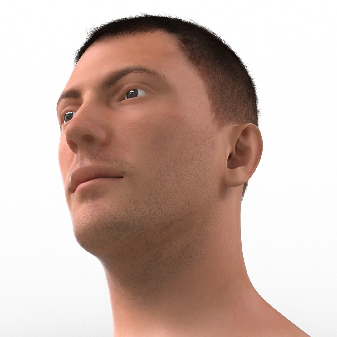 3d model male head hair rigged https://p.turbosquid.com/ts-thumb/77/CzCE5j/jsfbhMyk/maleheadwithhairrigged3dmodel16/jpg/1454417909/1920x1080/fit_q87/fa295837582778f6e5082f78db3a4e37107758e8/maleheadwithhairrigged3dmodel16.jpg