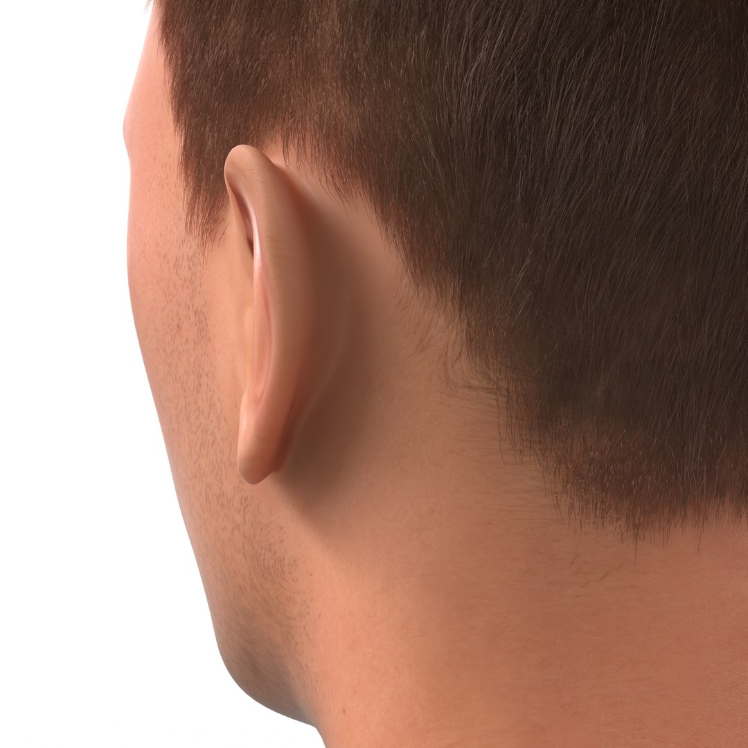 3d model male head hair rigged https://p.turbosquid.com/ts-thumb/77/CzCE5j/rE45kpHb/maleheadwithhairrigged3dmodel26/jpg/1454417910/1920x1080/fit_q87/cabadf1ebead7d1a264667b6460c665b104ee646/maleheadwithhairrigged3dmodel26.jpg