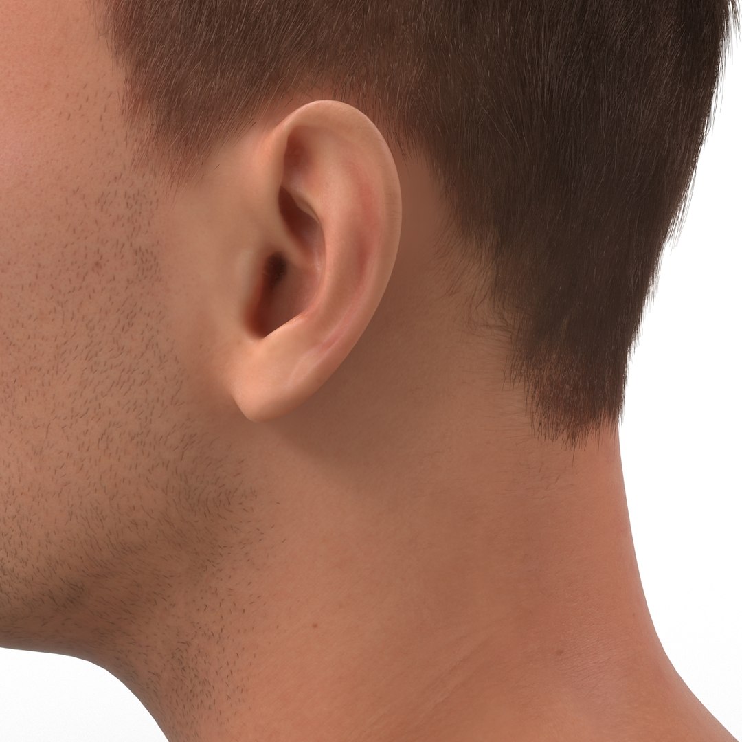3d model male head hair rigged https://p.turbosquid.com/ts-thumb/77/CzCE5j/uUAgdCxr/maleheadwithhairrigged3dmodel24/jpg/1454417910/1920x1080/fit_q87/ee801f48d2f5c20041404560b09d3d815af30d7f/maleheadwithhairrigged3dmodel24.jpg