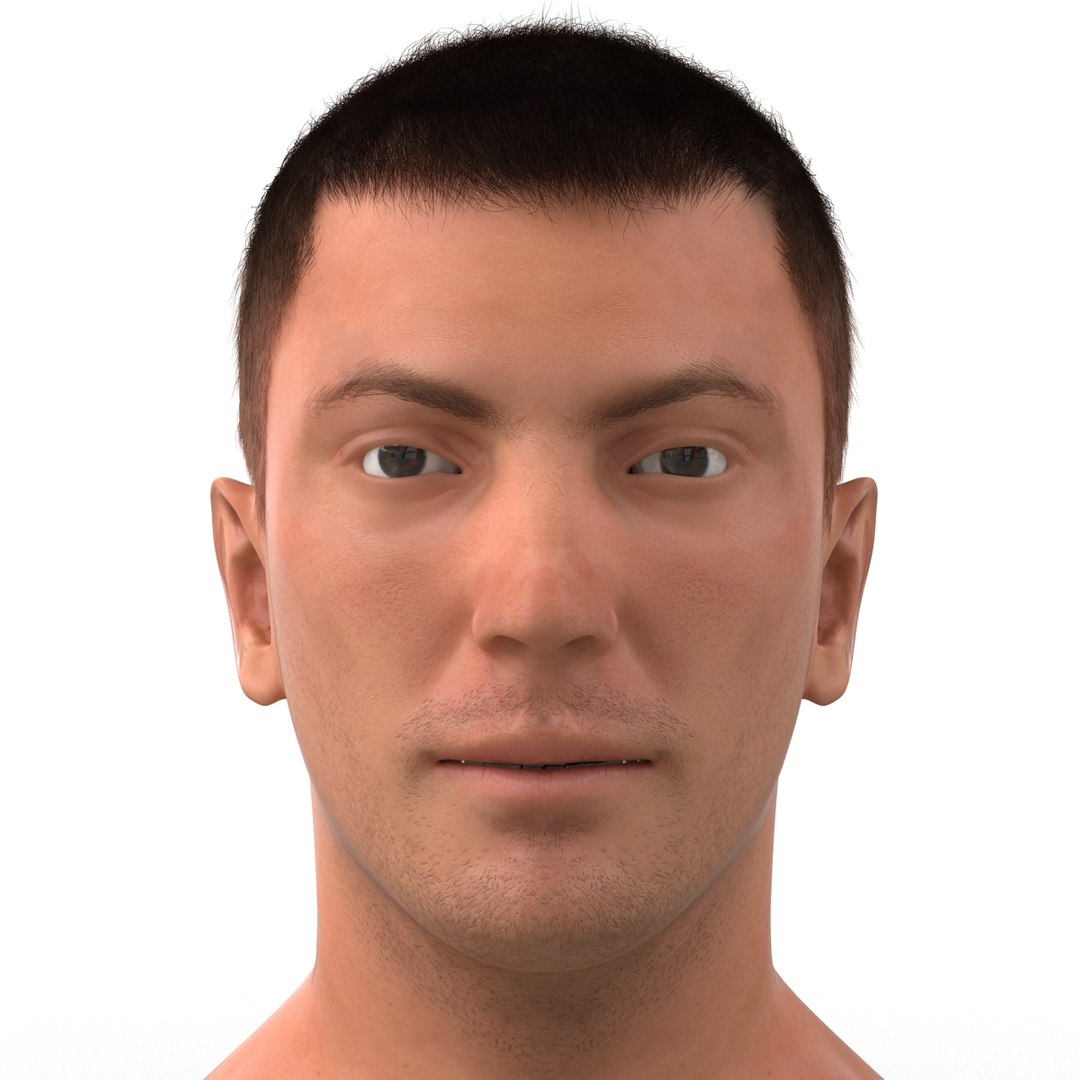 3d model male head hair rigged https://p.turbosquid.com/ts-thumb/77/CzCE5j/yYUXnZLC/maleheadwithhairrigged3dmodel18/jpg/1454417909/1920x1080/fit_q87/9b6876adadc7d9027e352ca137b9190c0cc73f92/maleheadwithhairrigged3dmodel18.jpg