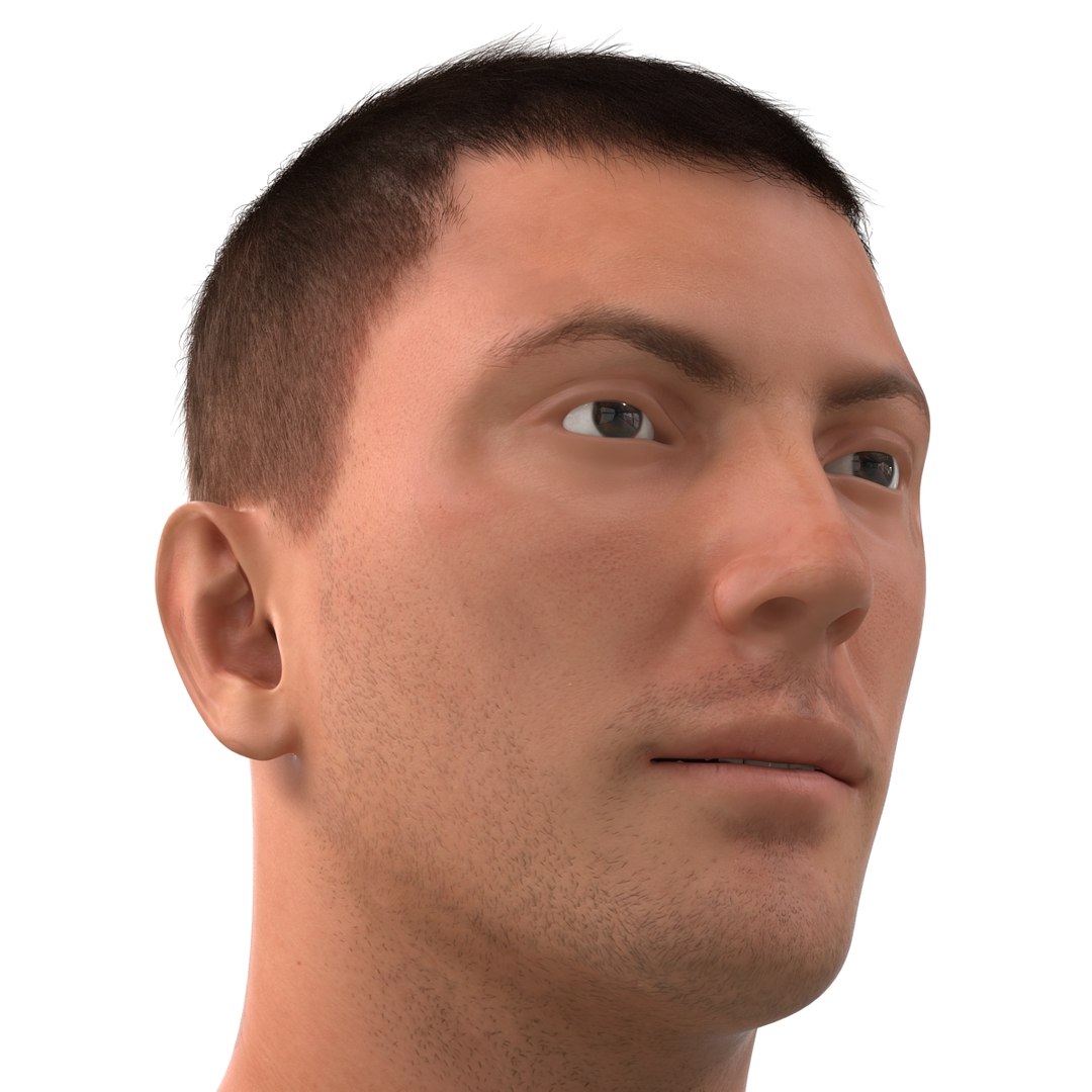 3d model male head hair rigged https://p.turbosquid.com/ts-thumb/77/CzCE5j/yqbsRKgI/maleheadwithhairrigged3dmodel19/jpg/1454417909/1920x1080/fit_q87/69341c83d5695ce34371387c9f3f396b472afd12/maleheadwithhairrigged3dmodel19.jpg