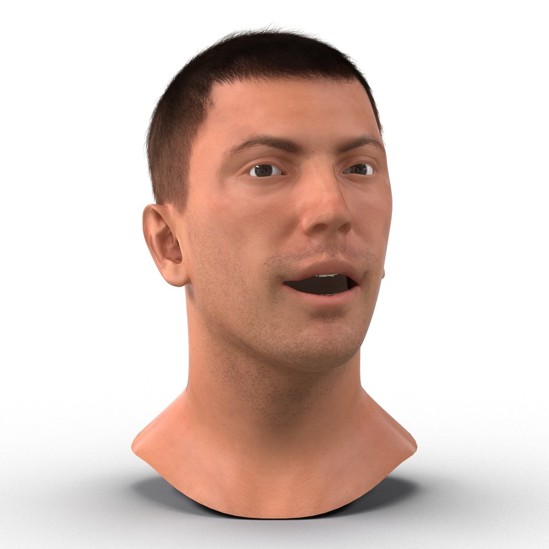 3d model male head hair rigged https://p.turbosquid.com/ts-thumb/77/CzCE5j/zmDnyuOb/maleheadwithhairrigged3dmodel04/jpg/1454417907/1920x1080/fit_q87/970ac46d0c847311c6f4d833d7f42a59172e2953/maleheadwithhairrigged3dmodel04.jpg