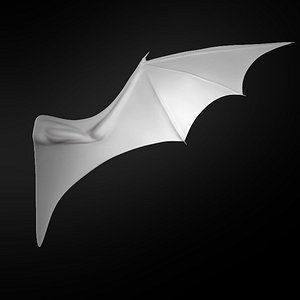 3D wing creature 2019