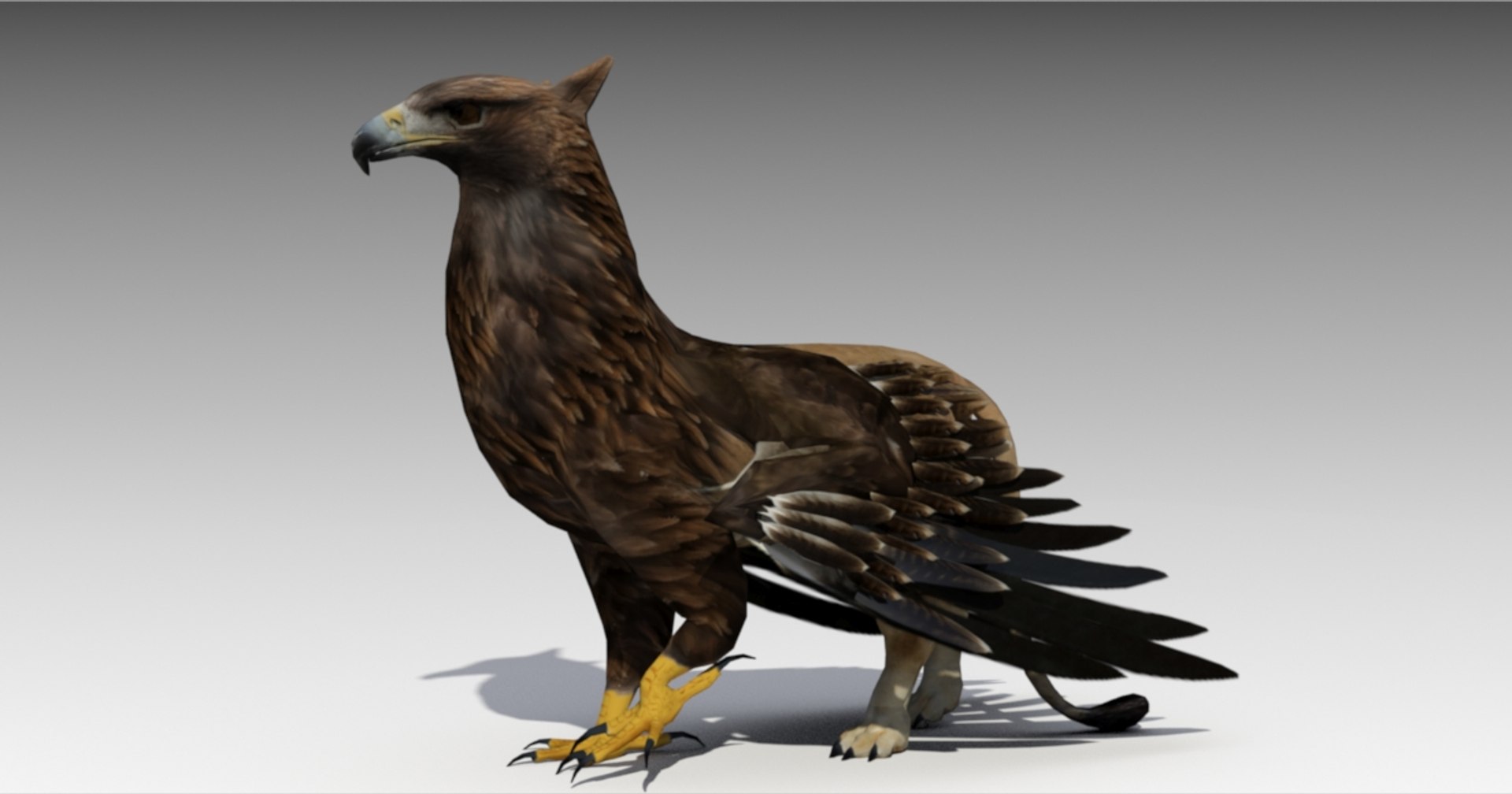 3d model griffin animations https://p.turbosquid.com/ts-thumb/77/GhFvHt/ANitFKGN/screenshot005/jpg/1488223700/1920x1080/fit_q87/fa04c66d62c9f6aff3326b48f5fc5fe7ea16f8de/screenshot005.jpg