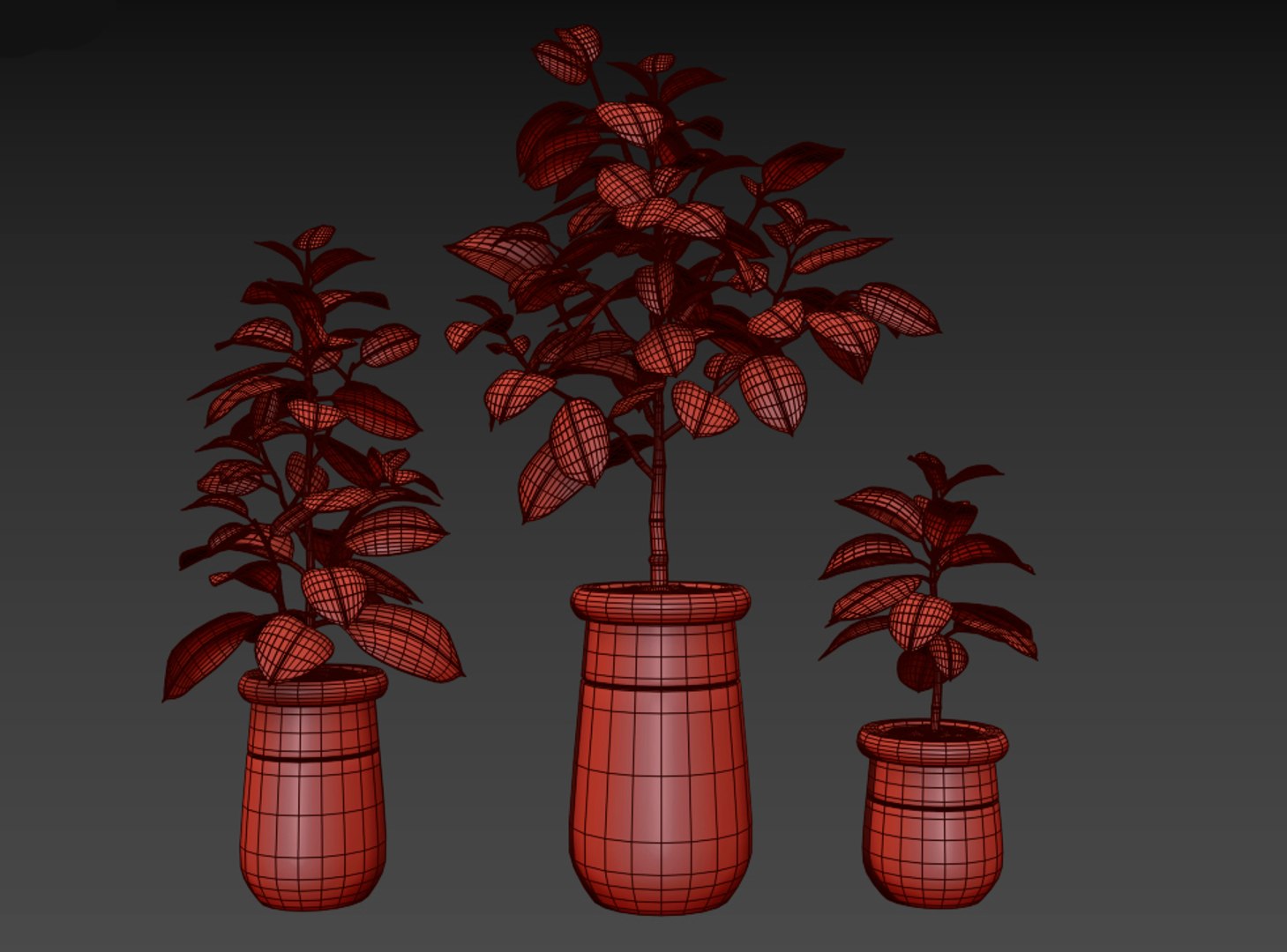 3D ficus elastica https://p.turbosquid.com/ts-thumb/77/IuV4Cj/5MYcT1Ty/11/jpg/1560168547/1920x1080/fit_q87/d8960867d3e4af2347a007c39f9c7203a3a61457/11.jpg