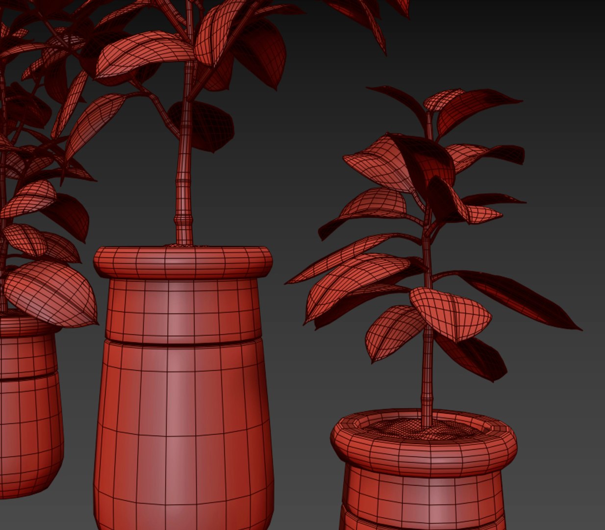3D ficus elastica https://p.turbosquid.com/ts-thumb/77/IuV4Cj/74nSgfpR/13/jpg/1560168547/1920x1080/fit_q87/306e485cade748ef4cf6d626f8d2c5822dbe4f15/13.jpg