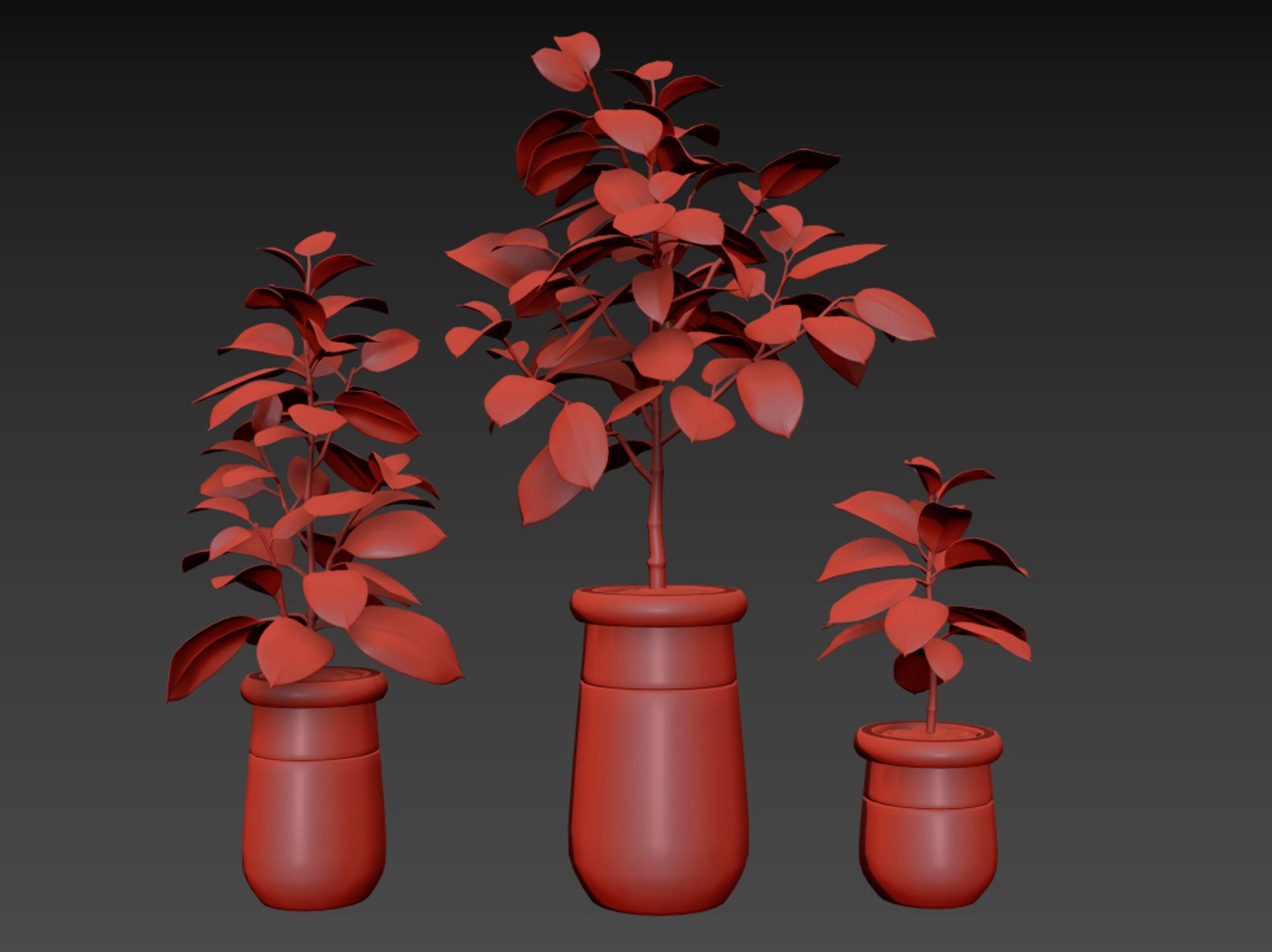 3D ficus elastica https://p.turbosquid.com/ts-thumb/77/IuV4Cj/LVDHLSi7/10/jpg/1560168547/1920x1080/fit_q87/1351df1a6ecdb38d78ebc1dc0c00ede5dbe7c881/10.jpg