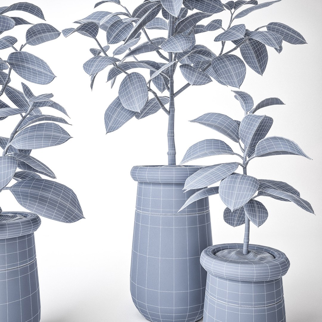 3D ficus elastica https://p.turbosquid.com/ts-thumb/77/IuV4Cj/YNZFFdLM/f3/jpg/1560168547/1920x1080/fit_q87/0df71f11c4ac072bdcecbf31dc742a3fead54212/f3.jpg