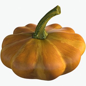 Squash Pumpkin