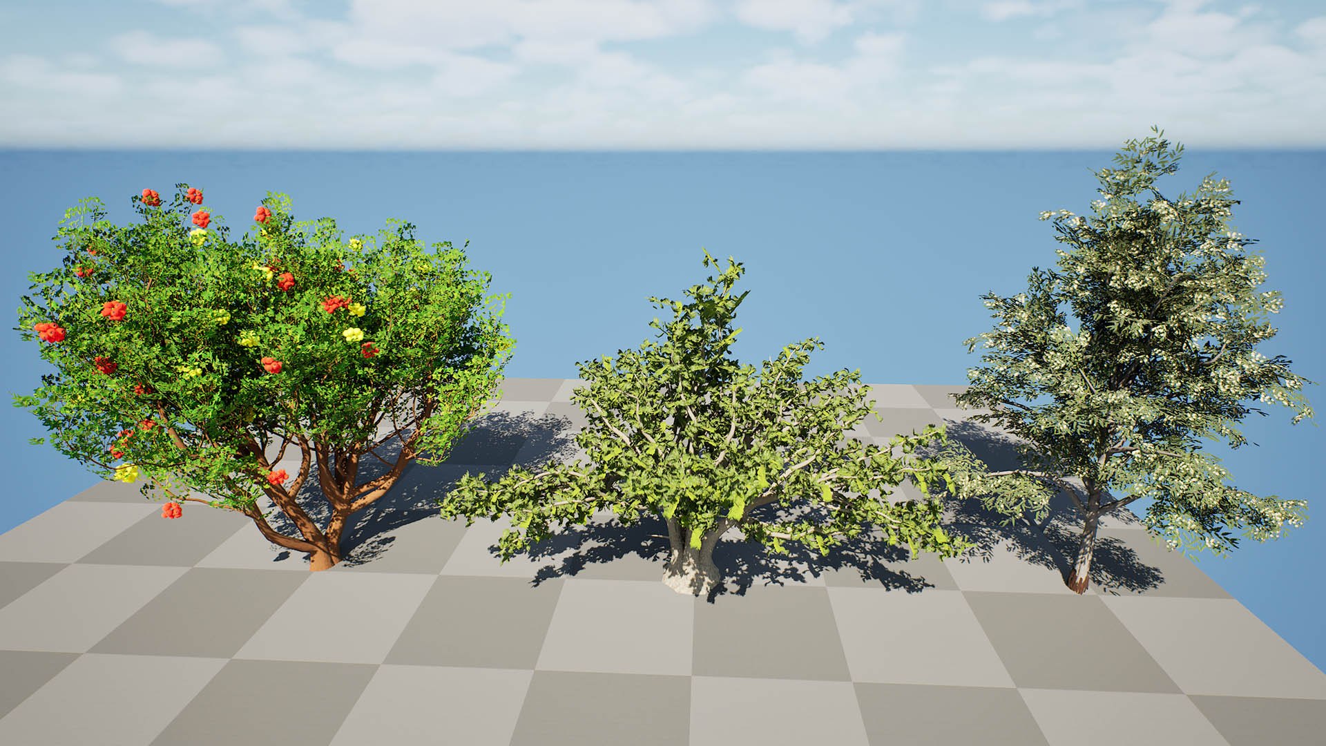 Mediterranean Flora 3D Assets model https://p.turbosquid.com/ts-thumb/78/5492rj/Go/highresscreenshot00001/jpg/1761405525/1920x1080/fit_q87/8e5d41a7b7381eda3ae86c8dd152b15eca4f1030/highresscreenshot00001.jpg