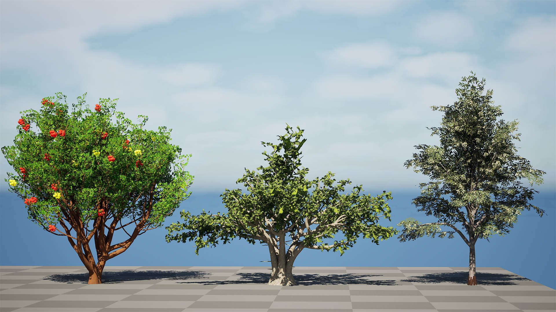 Mediterranean Flora 3D Assets model https://p.turbosquid.com/ts-thumb/78/5492rj/NX/highresscreenshot00002/jpg/1761405526/1920x1080/fit_q87/750b50e0f8cc82fbb9213246afd49558fd248966/highresscreenshot00002.jpg