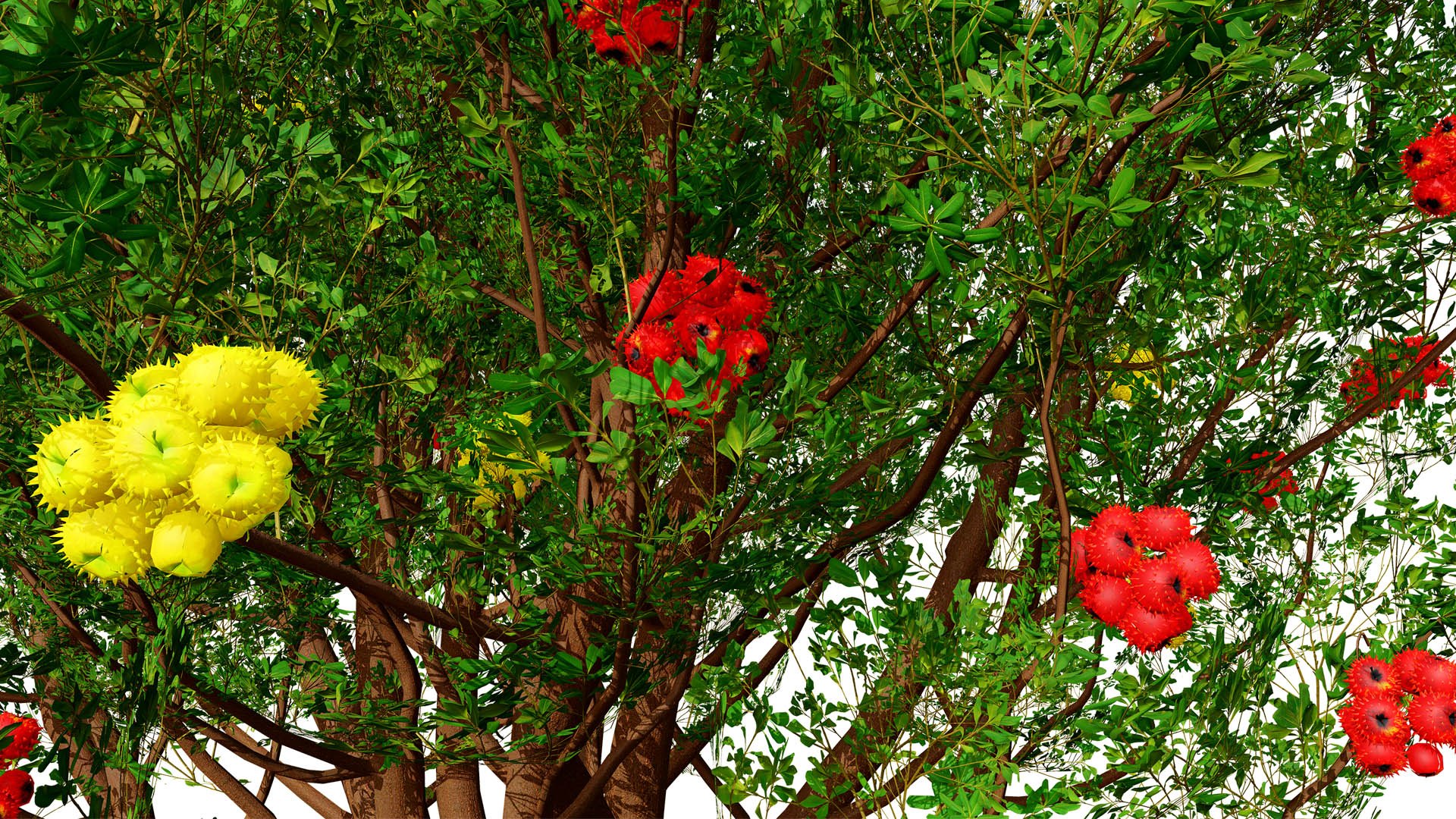 Mediterranean Flora 3D Assets model https://p.turbosquid.com/ts-thumb/78/5492rj/RB/arbutusz54l/jpg/1761405525/1920x1080/fit_q87/a9e99443161fbb89562ac167c008b634e38feb8b/arbutusz54l.jpg