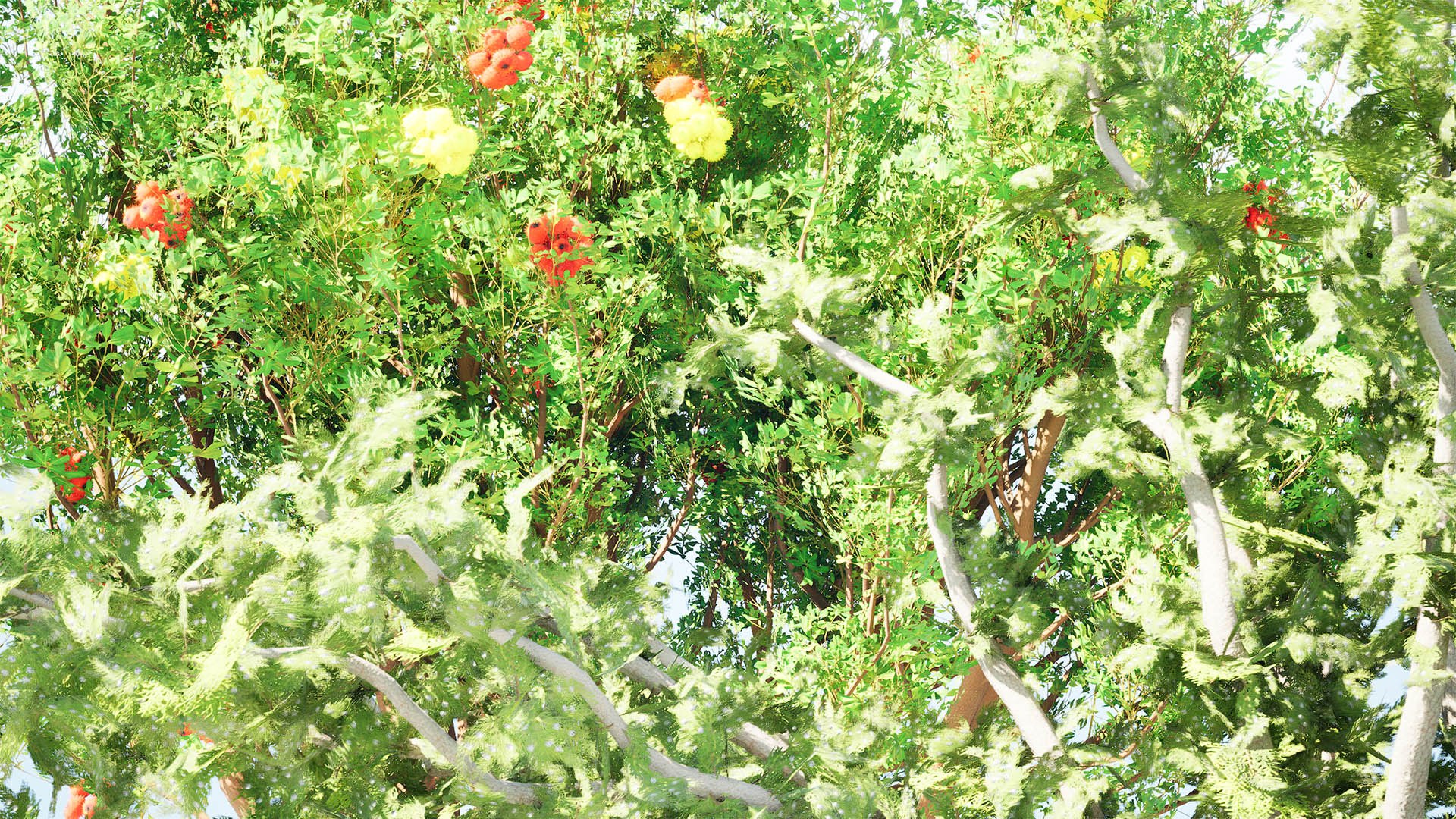 Mediterranean Flora 3D Assets model https://p.turbosquid.com/ts-thumb/78/5492rj/RM/highresscreenshot00004/jpg/1761405526/1920x1080/fit_q87/5c869fa1acd7dc819260ef46f59daedf51210206/highresscreenshot00004.jpg