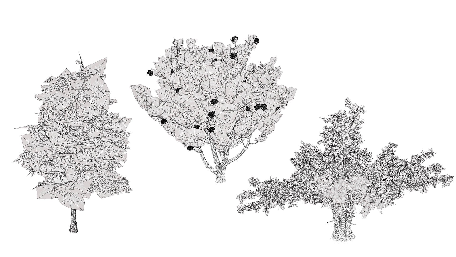 Mediterranean Flora 3D Assets model https://p.turbosquid.com/ts-thumb/78/5492rj/V1/wirel/jpg/1761405533/1920x1080/fit_q87/7520d00031882e59841e216d3aeb42d39668642b/wirel.jpg
