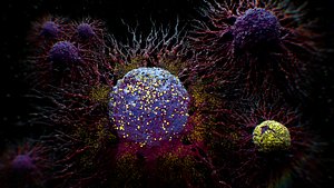 Cancer Cells Animated 3D model