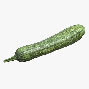 Zucchino Low Poly 3D model