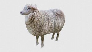 Low Poly Sheep Rigged With Realistic Texture 3D