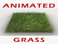 Grass Animated