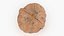 Walnut Shell