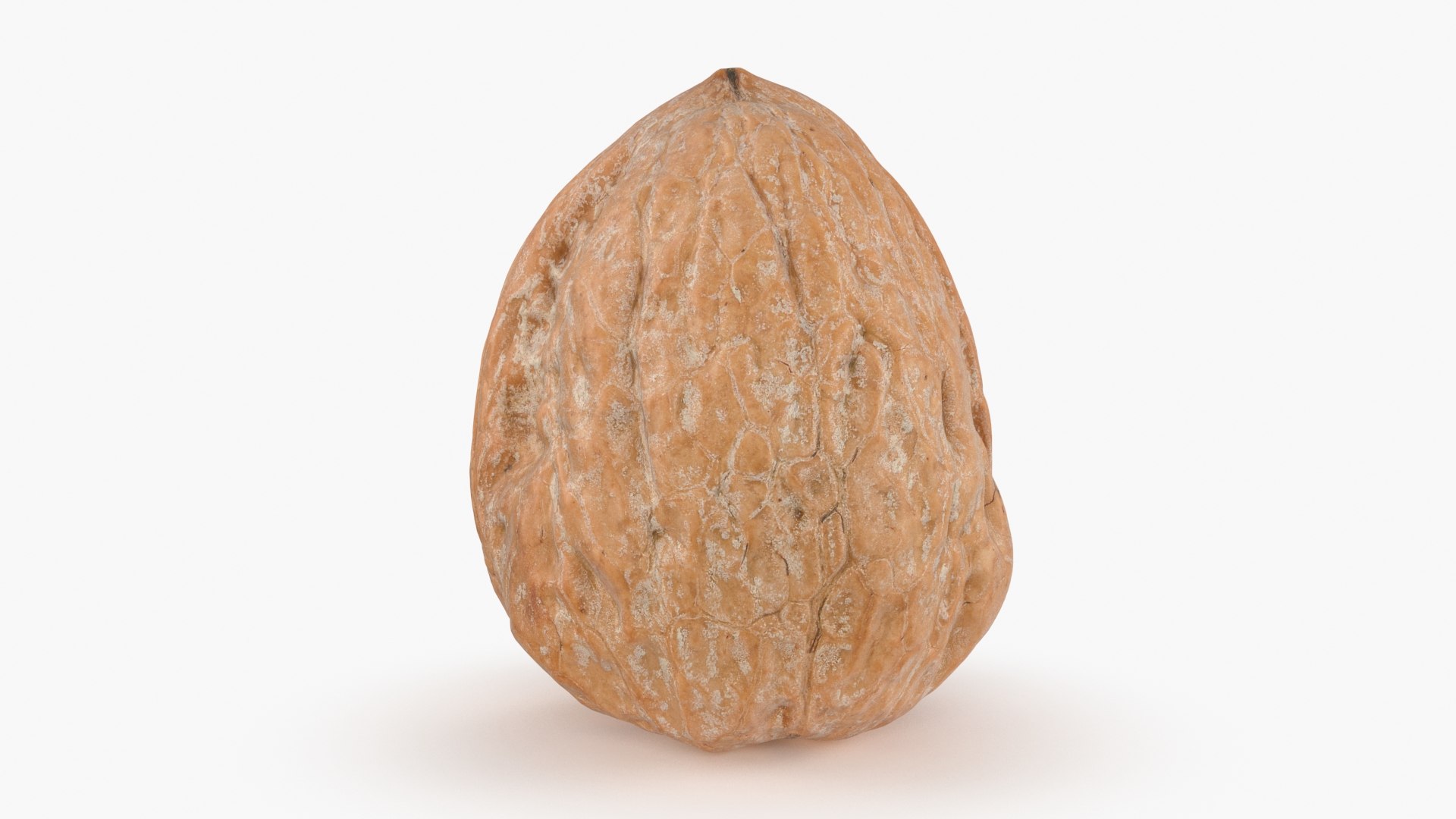 3D Walnut Shell https://p.turbosquid.com/ts-thumb/78/daeAtf/MI/walnut_shell_b0004/jpg/1667928302/1920x1080/fit_q87/b6fe2a7eb4648c6f6feb05d23b7df254d6d7eac7/walnut_shell_b0004.jpg