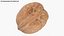 Walnut Shell