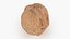 Walnut Shell